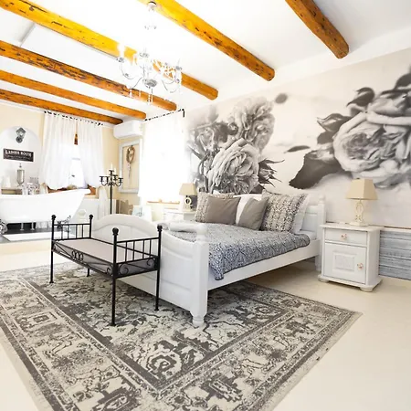 Videki Porta בית הארחה 4*