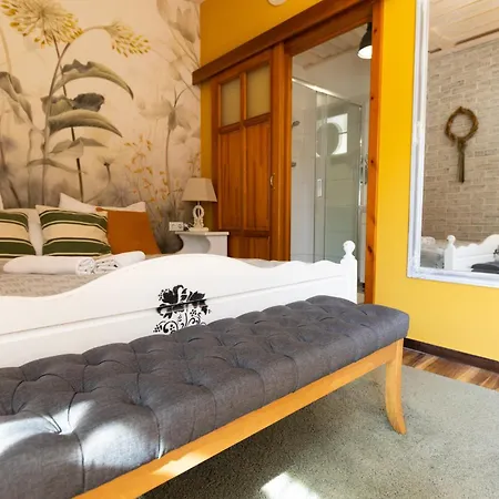 Videki Porta Pensionat 4*