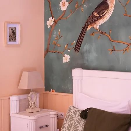 Videki Porta בית הארחה