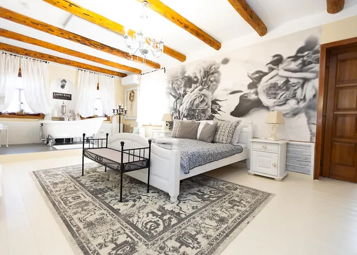 Videki Porta בית הארחה 4*