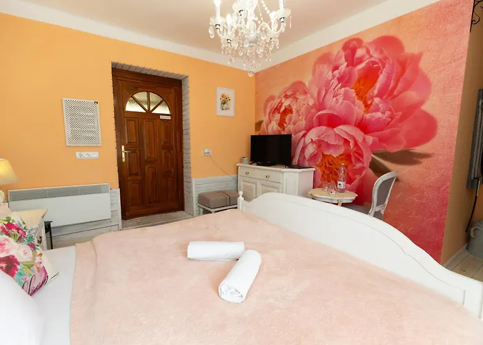 בית הארחה Videki Porta 4*